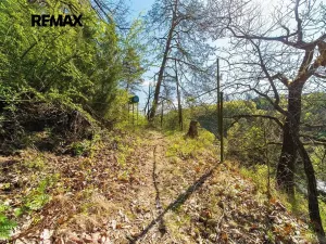 Prodej chaty, Bílovice nad Svitavou, 40 m2