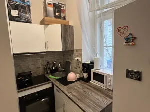 Pronájem bytu 1+1, Praha - Nové Město, Růžová, 34 m2