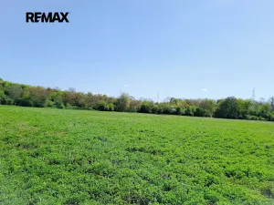 Prodej zahrady, Sokolnice, 1667 m2