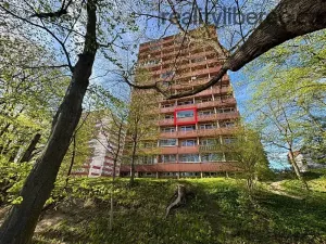 Prodej bytu 1+kk, Liberec, Libušina, 28 m2