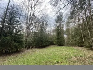 Prodej pozemku, Volfířov - Brandlín, 5958 m2