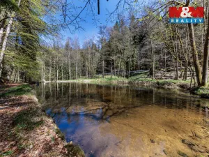 Prodej chaty, Sokolov - Novina, 20 m2