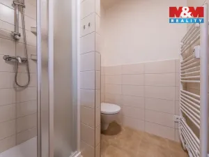Pronájem bytu 1+1, Příbram - Příbram VII, Politických vězňů, 43 m2