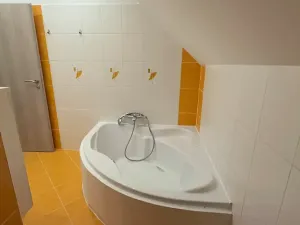 Prodej vícegeneračního domu, Kly, 200 m2