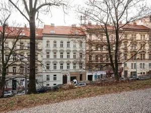 Pronájem bytu 2+kk, Praha - Vinohrady, Francouzská, 99 m2