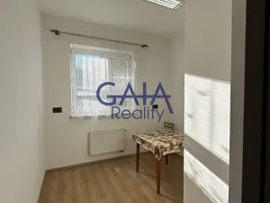 Pronájem obchodního prostoru, Louka, 597 m2