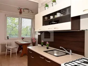 Pronájem bytu 3+1, České Budějovice - České Budějovice 2, Branišovská, 65 m2