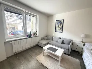 Pronájem bytu 1+1, Brno - Královo Pole, Hrubého, 42 m2
