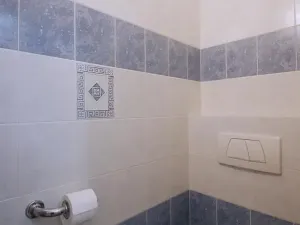 Pronájem bytu 1+1, Praha - Vinohrady, Polská, 45 m2