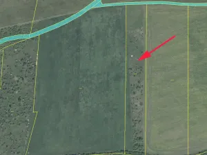 Prodej pole, Staňkovice, 11284 m2