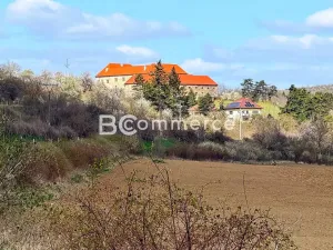 Prodej vily, Dolní Kounice, Zámecká, 270 m2