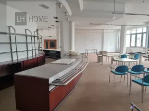 Pronájem komerční nemovitosti, Plzeň, 200 m2