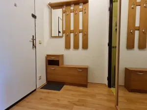 Pronájem bytu 1+kk, Brno, Vídeňská, 27 m2