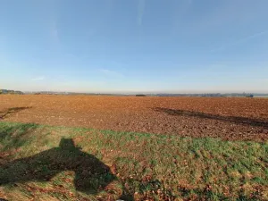 Prodej pole, Leština u Světlé, 3848 m2