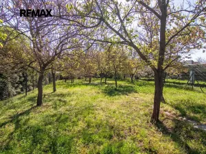 Prodej rodinného domu, Podivín, Sokolská, 220 m2