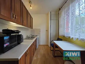 Pronájem bytu 1+1, Orlová, Masarykova třída, 41 m2