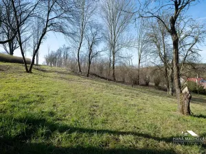 Prodej pozemku pro bydlení, Kopidlno, Na Vinici, 8371 m2