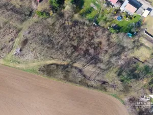 Prodej pozemku pro bydlení, Kopidlno, Na Vinici, 8371 m2