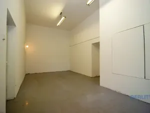 Pronájem kanceláře, Brandýs nad Labem-Stará Boleslav, Pražská, 28 m2