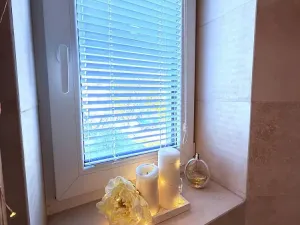Pronájem bytu 2+kk, Brno - Ivanovice, Hřebíčková, 33 m2