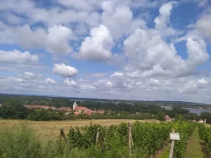 Prodej pozemku pro bydlení, Dolní Věstonice, 1941 m2