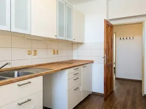 Pronájem bytu 3+1, Teplice, Jiřího Wolkera, 102 m2