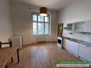 Pronájem bytu 1+kk, Praha - Žižkov, Kubelíkova, 29 m2