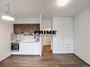 Pronájem bytu 1+kk, Praha - Vinohrady, Lucemburská, 30 m2
