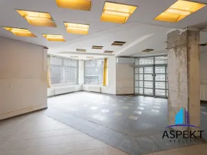 Pronájem obchodního prostoru, Praha - Kobylisy, U třešňovky, 224 m2
