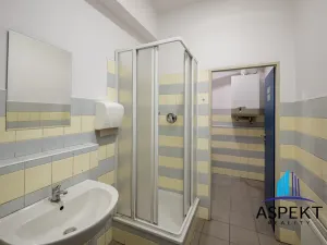 Pronájem obchodního prostoru, Praha - Kobylisy, U třešňovky, 224 m2