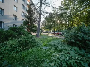 Pronájem bytu 2+1, Praha - Žižkov, Pod lipami, 52 m2