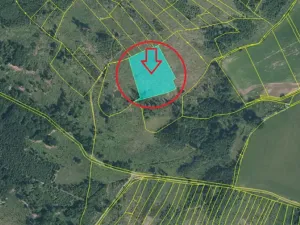 Prodej lesa, Mrákov, 34704 m2