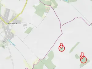 Prodej podílu lesa, Skalice, 1312 m2