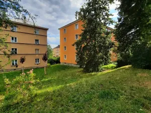 Prodej bytu 2+kk, Ústí nad Labem, Resslova, 42 m2