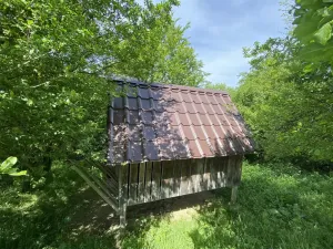 Prodej lesa, Šarovy, 11619 m2