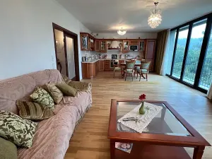 Prodej bytu 3+kk, Karlovy Vary, Pražská silnice, 102 m2