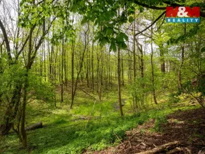 Prodej rodinného domu, Šenov, Ke Statku, 140 m2