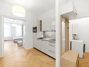 Pronájem bytu 2+kk, Praha - Vinohrady, Velehradská, 44 m2
