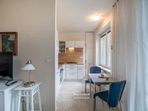 Prodej bytu 1+1, Brno - Veveří, Mášova, 30 m2