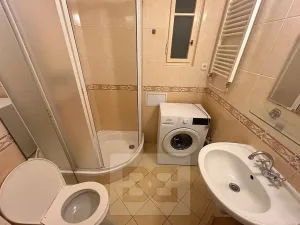 Pronájem bytu 1+kk, Praha - Nusle, U křížku, 28 m2