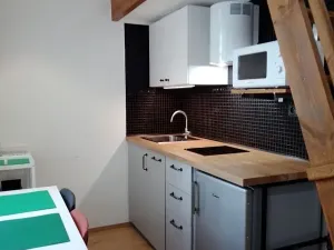 Prodej bytu 1+kk, Praha - Nové Město, Sokolská, 22 m2