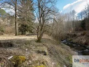 Prodej pozemku, Poříčí nad Sázavou, Potočiny, 3297 m2