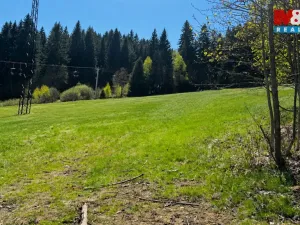 Prodej louky, Stachy, 4150 m2