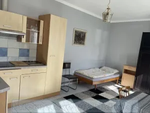 Pronájem pokoje, Praha - Vinohrady, 19 m2