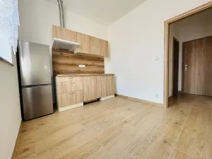 Pronájem bytu 1+1, Praha - Košíře, Holečkova, 35 m2
