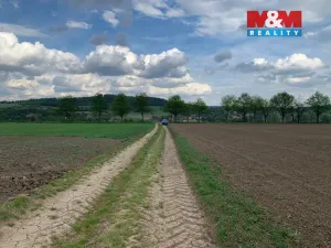 Prodej pole, Voděrady, 9520 m2