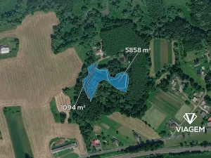 Prodej podílu lesa, Petrovice u Karviné, 2317 m2