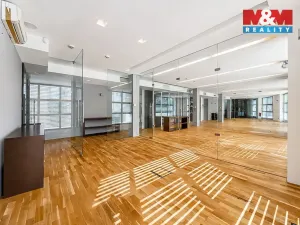 Pronájem kanceláře, Olomouc, Horní náměstí, 708 m2