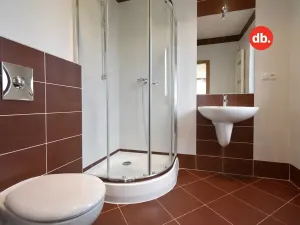 Prodej rodinného domu, Hory, 238 m2