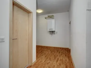 Pronájem bytu 2+1, Brno, Kobližná, 61 m2